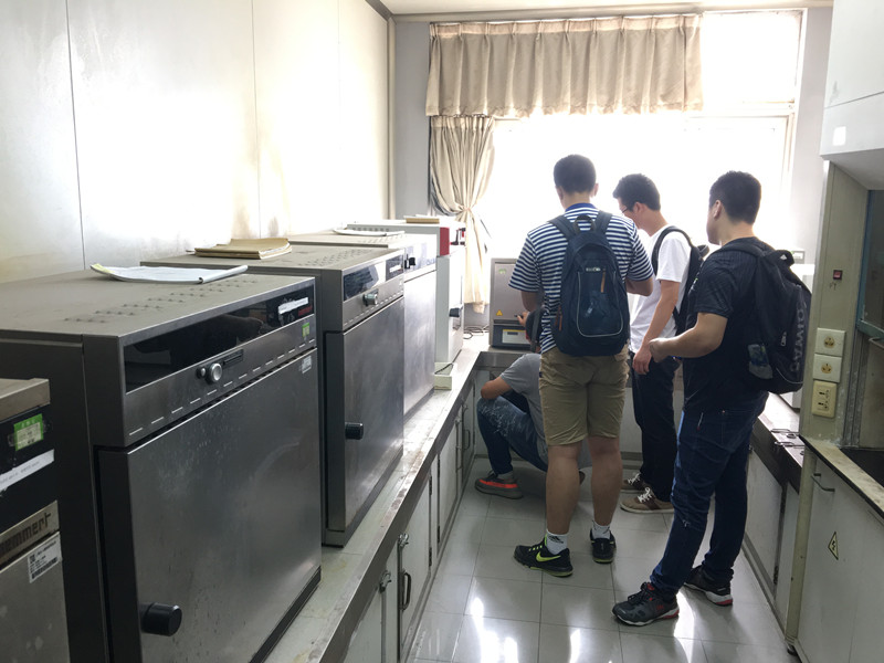 麻豆AV下载安全