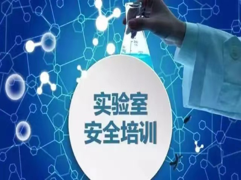 麻豆AV下载安全培训