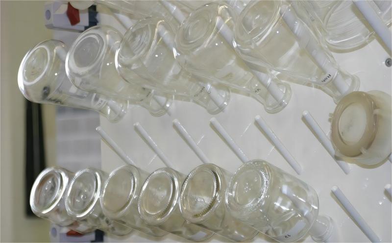 麻豆AV下载运行