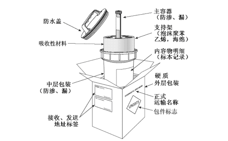 麻豆AV下载病源微生物运输